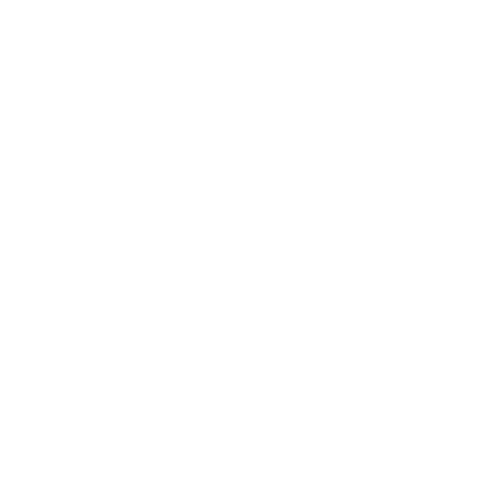 HairAudit